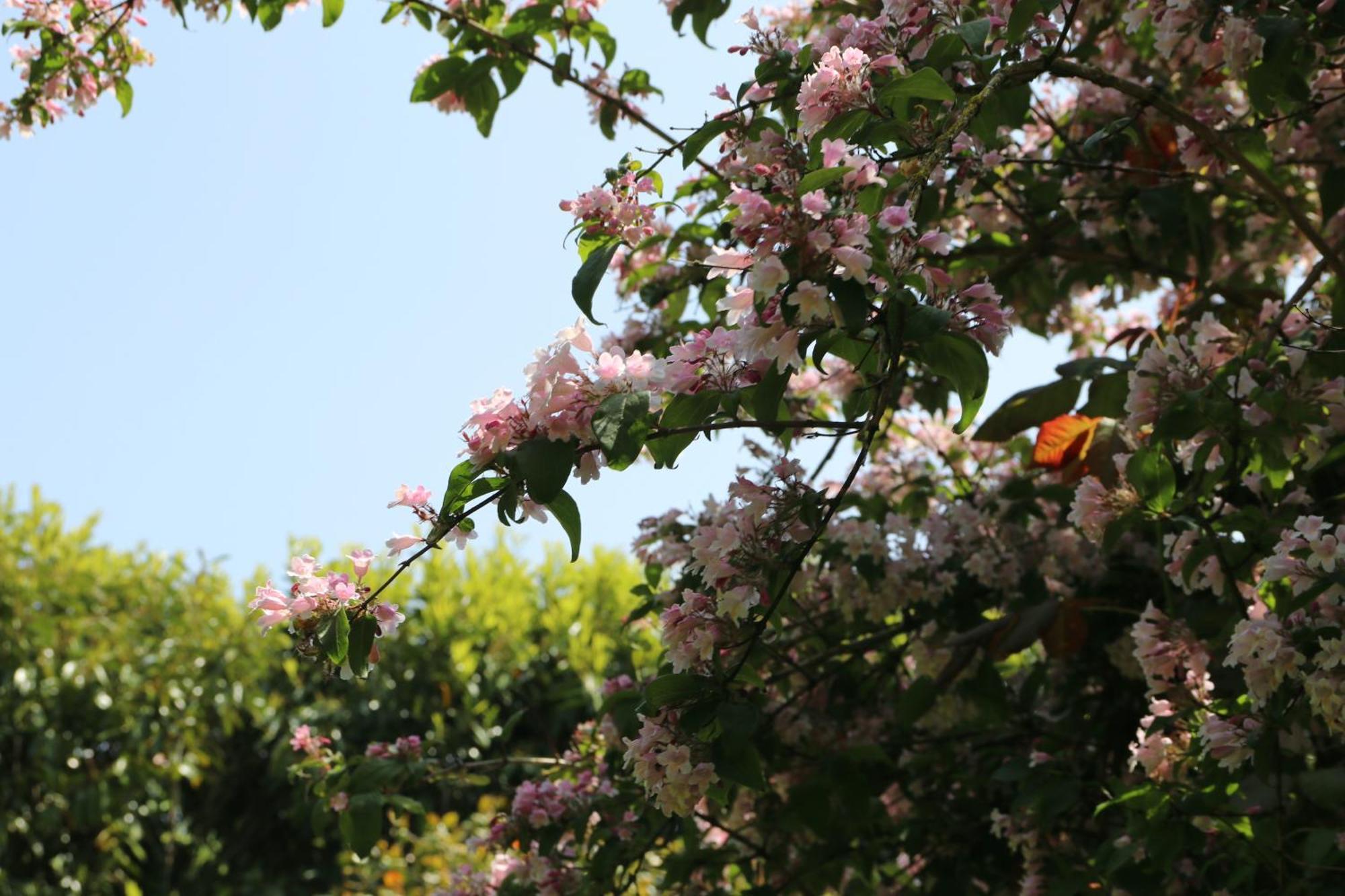 Charmant Logement Dans Un Ecrin De Verdure Le Manoir  外观 照片